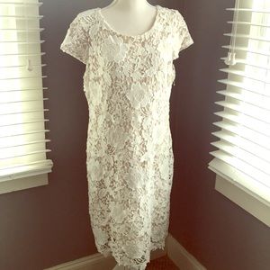 Luxology Vintage Lace Dress